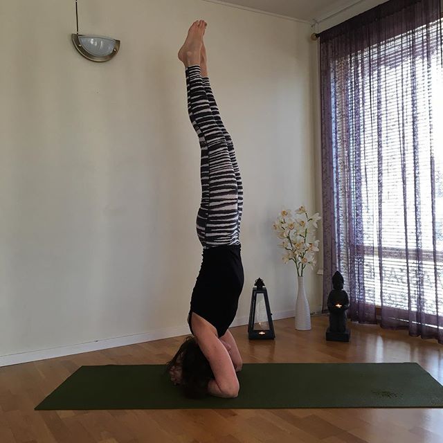 Ashtangayoga tisdagar kl.18.15-19.45